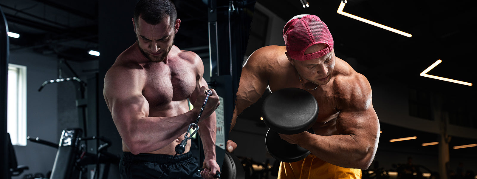 Machines v Free Weights