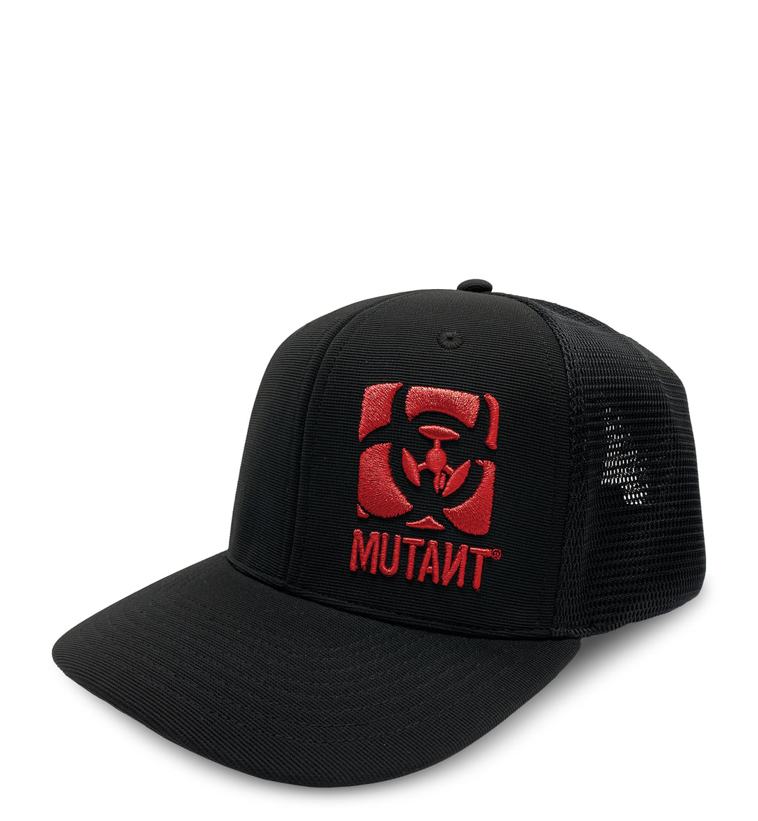 Fitted Flex Cap